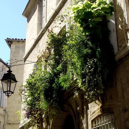 "Chambre D'Autres", Massages Montpellier Exterior photo